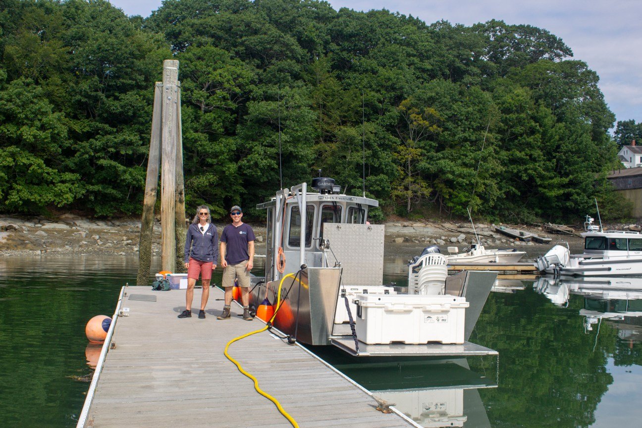 A man and a woman stand on a dock next to a small boat in front of a forest