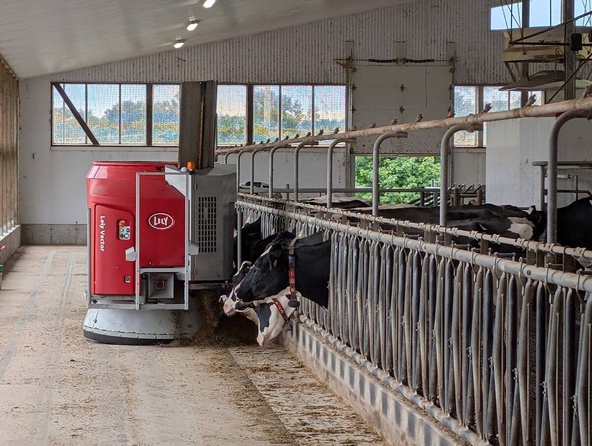 Lely Canada’s cattle feeding system at Blackrapids farm. Photo: Jonah Grignon