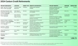 netflix carbon credit retirements 2024