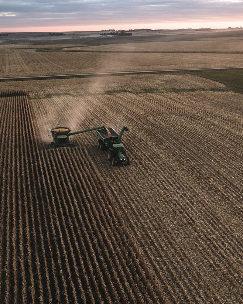 harvested corn is an important feedstock for plant-based products