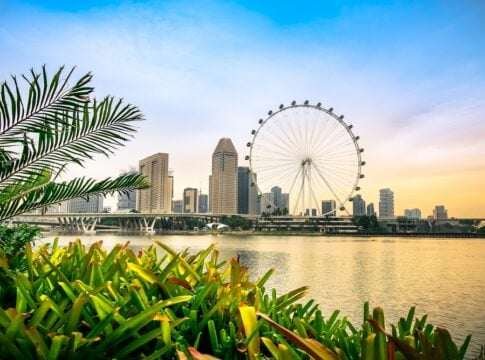 Singapore to Buy $76.4M Worth of Nature-Based Carbon Credits