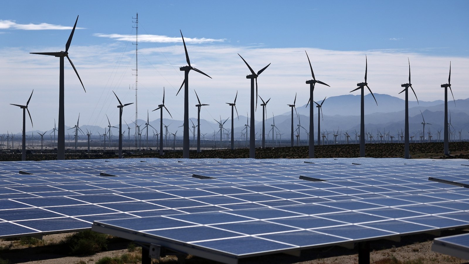 Dozens of wind turbines spin against a blue sky with solar panels in the foreground