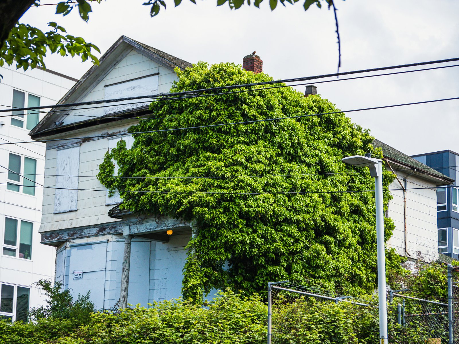 The Biggest Mistakes Homeowners Make When Going Green