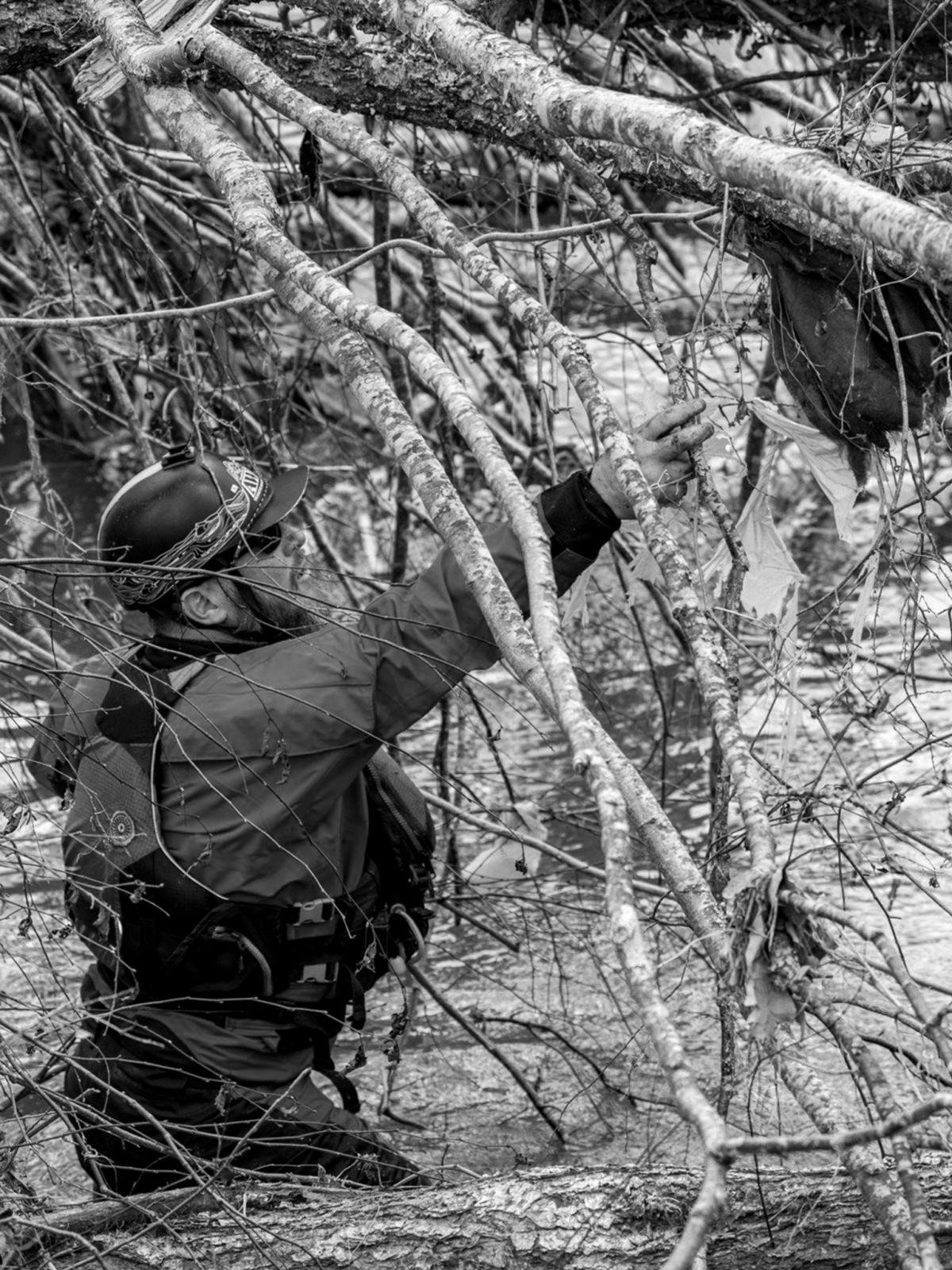 a man removes debris from a tree
