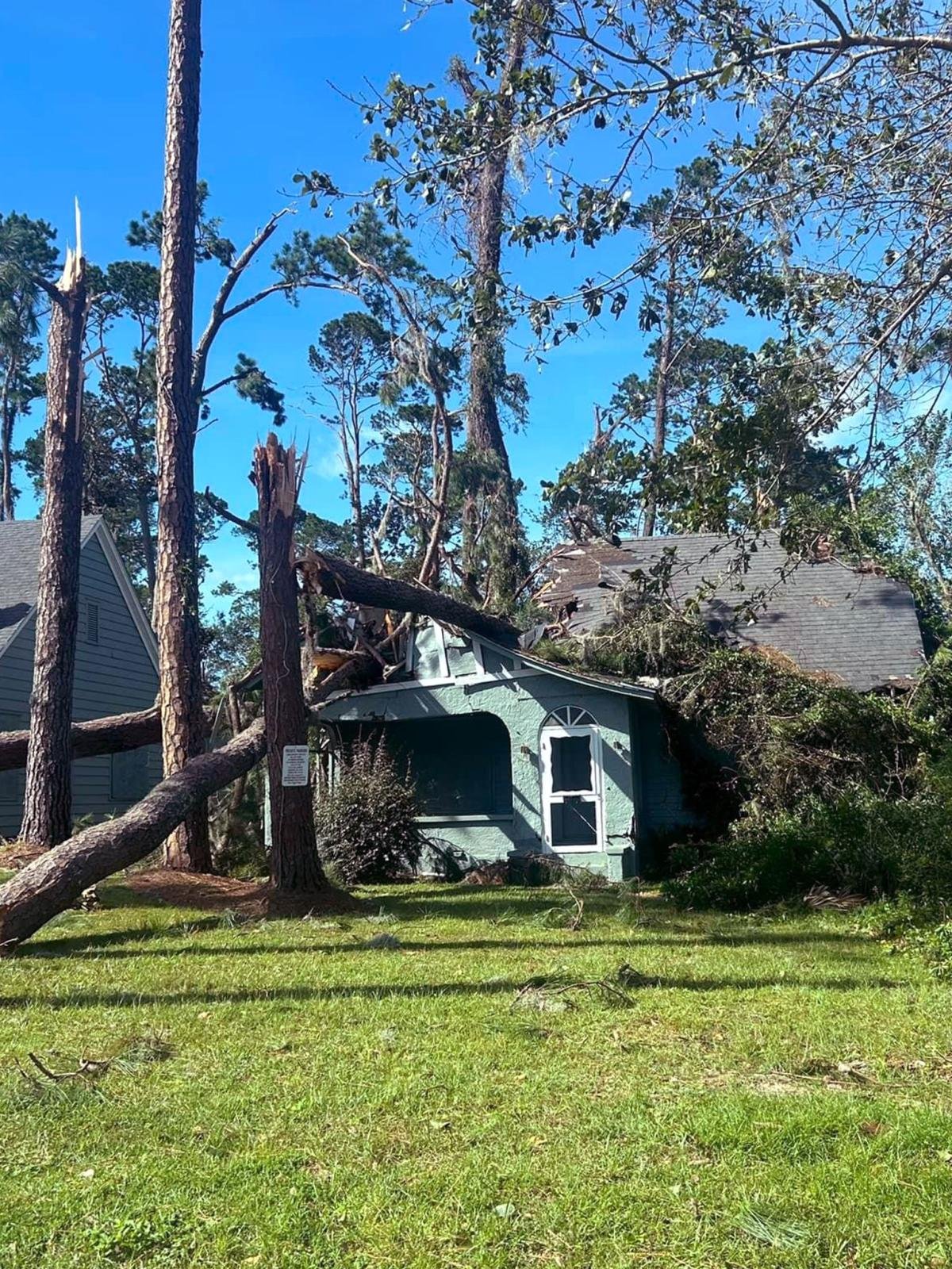 Photo of tree that has collapsed onto a roof