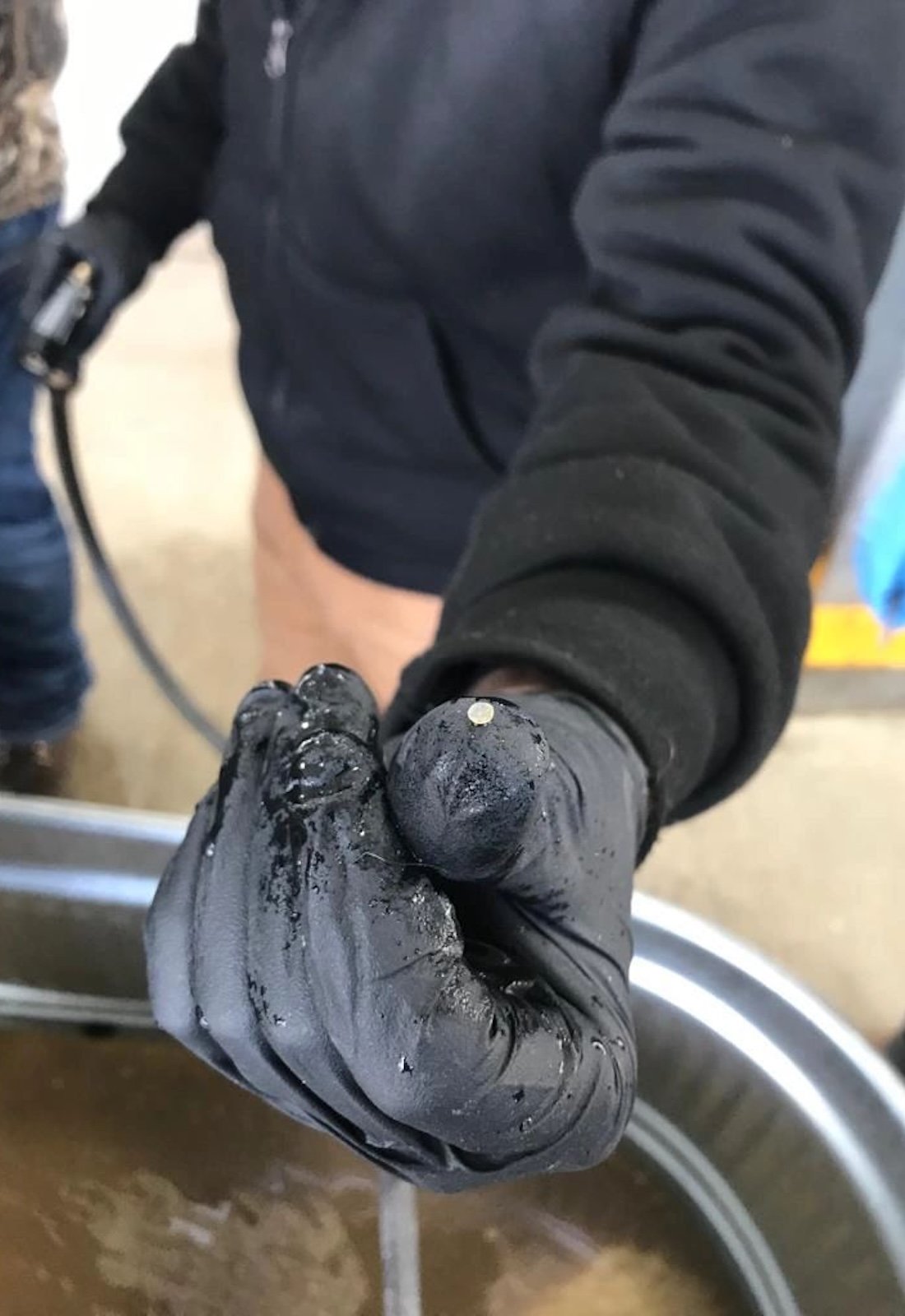 Gloved hand reaches toward the camera, holding a tiny white nurdle on thumb.