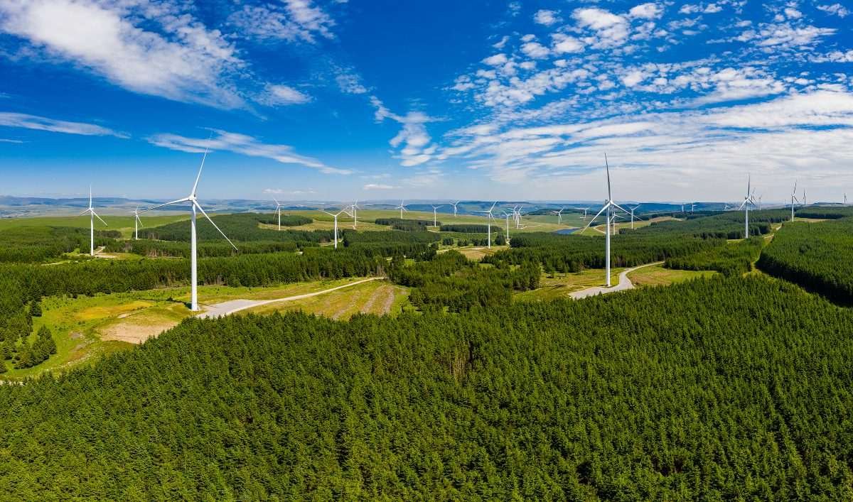 Green, lowland landscape with wind turbines scattered around