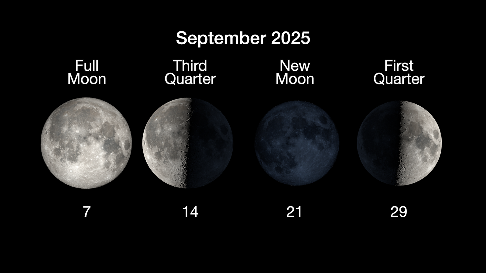 The main phases of the Moon are illustrated in a horizontal row, with the full moon on Sept. 7, the third quarter moon on Sept. 14, the new moon on Sept. 21, and the first quarter moon on Sept. 29.