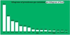 food ghg or carbon emissions per kilo