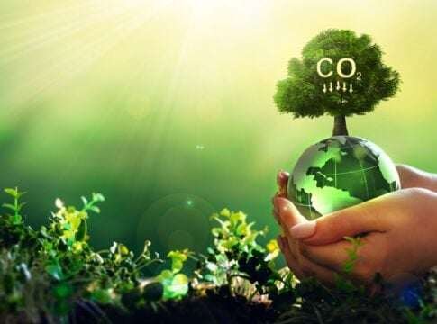 Carbon Credit Market Gains Integrity With ICVCM's Approval of 6 New Removal Standards