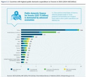 Countries with highest public domestic expenditure on forests in 2023