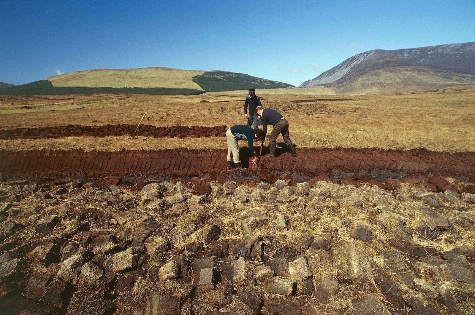 a landscape shot of three people cutting peat in a dry bog