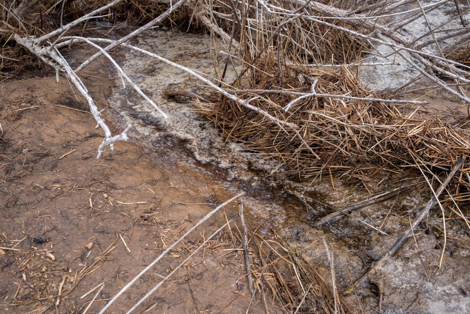 Murky water spreads across the ground.