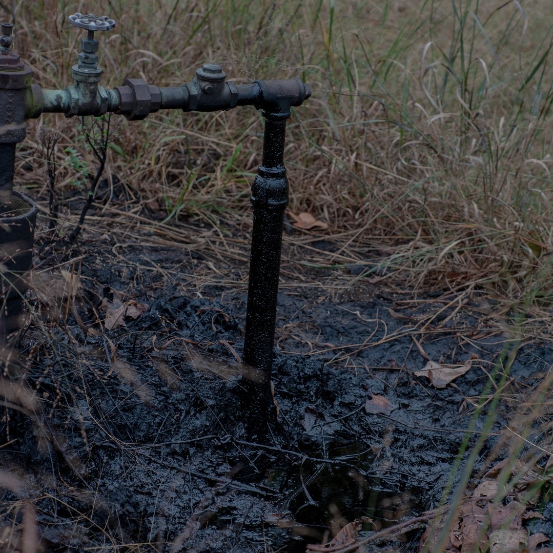 In a grid of four photos, the first one shows a man wearing a T-shirt and shorts standing in a field, and the other three show blackened oil and gas wells. One sticks up near a tree and sits in a circle of black amid a field of grass, one is an elbow of pipe with wet and blackened ground beneath it, and one is a rusty stub of pipe sticking straight up out of the ground.