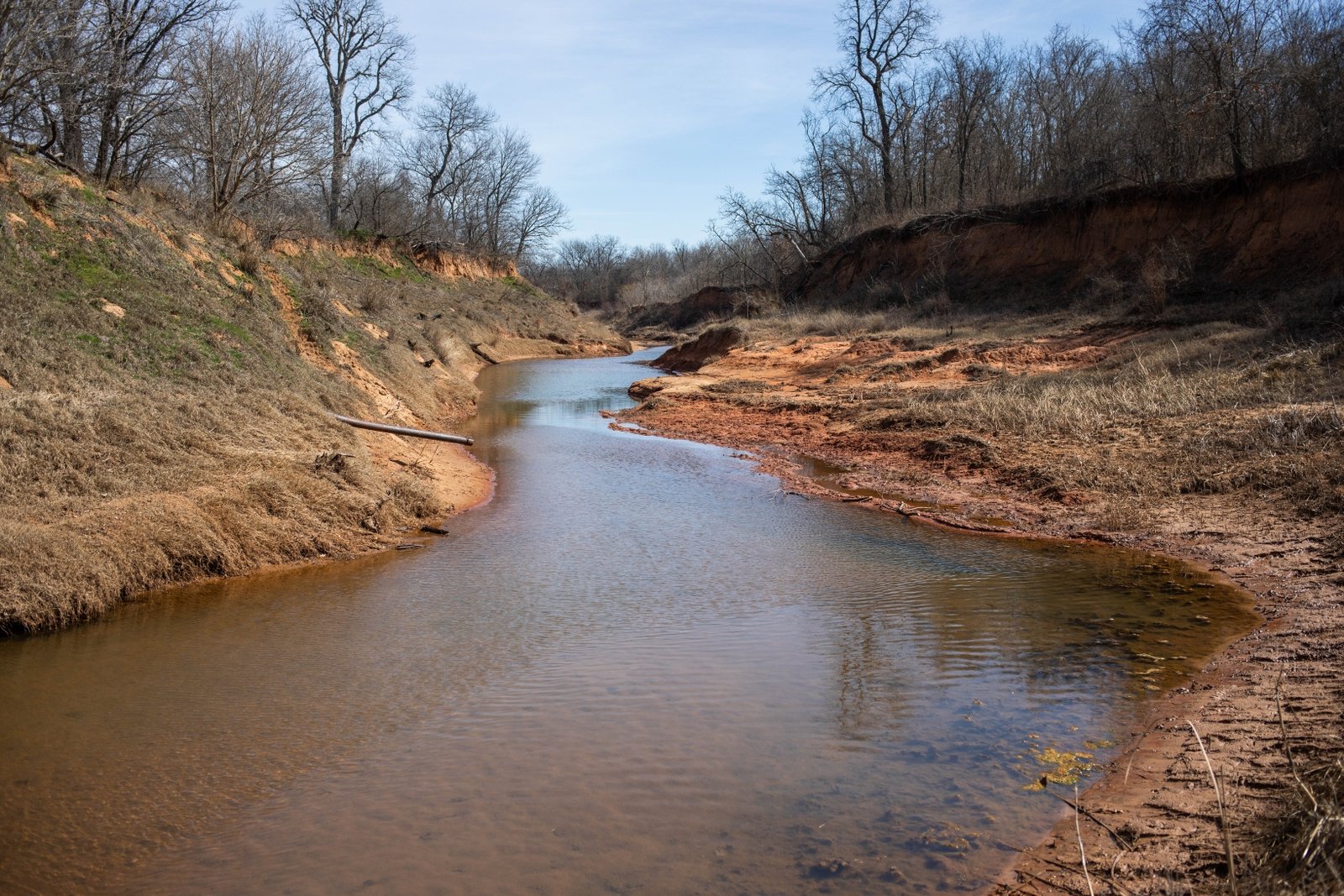 A creek is lined by mud and trees on either side.