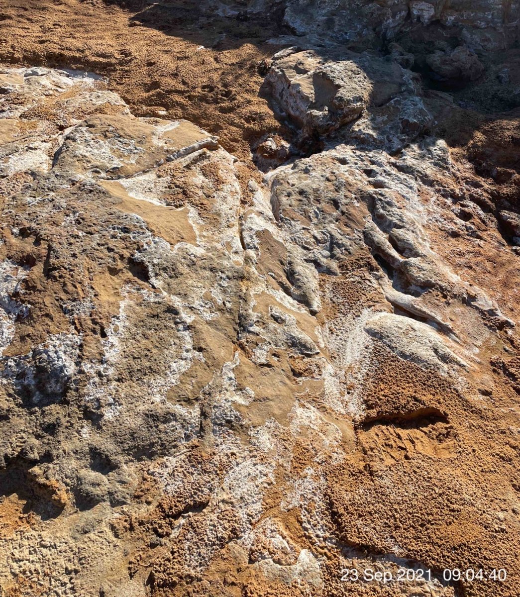 Three photographs show white residue covering muddy ground. Dead grass is visible in one of the photos.