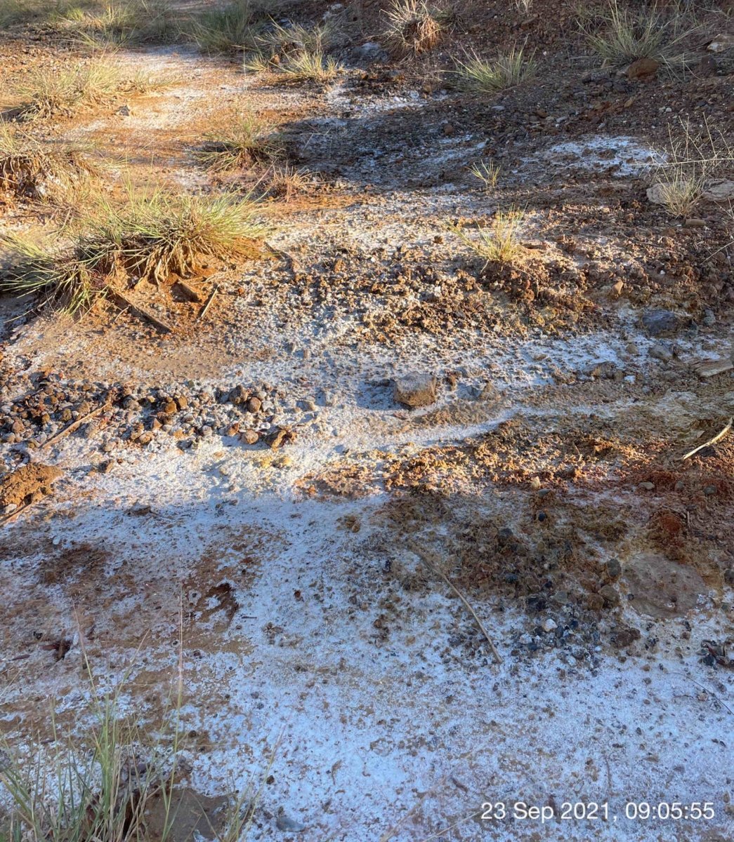 Three photographs show white residue covering muddy ground. Dead grass is visible in one of the photos.