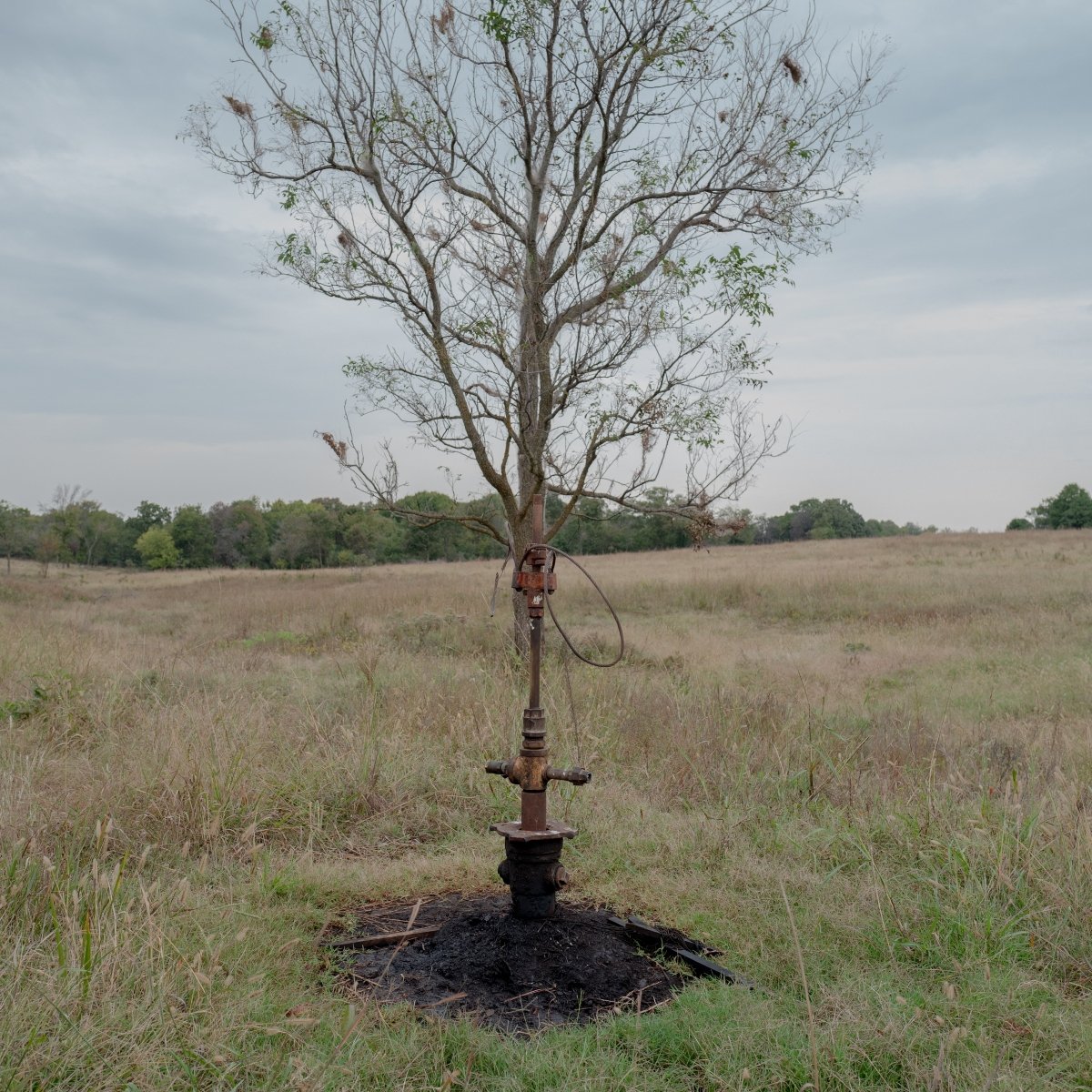 In a grid of four photos, the first one shows a man wearing a T-shirt and shorts standing in a field, and the other three show blackened oil and gas wells. One sticks up near a tree and sits in a circle of black amid a field of grass, one is an elbow of pipe with wet and blackened ground beneath it, and one is a rusty stub of pipe sticking straight up out of the ground.