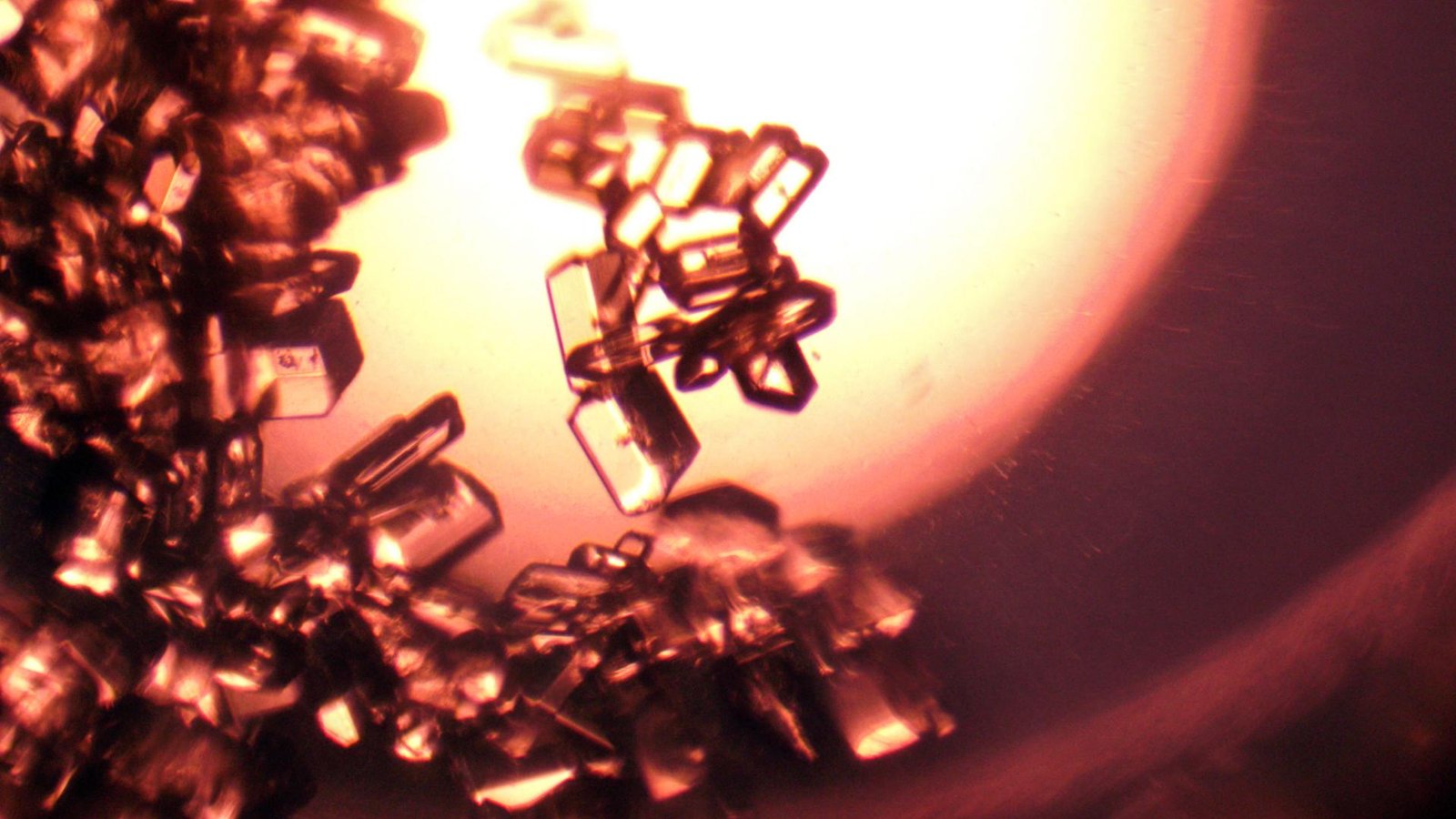 Crystals cover the left side of the frame against a rust-colored background. The crystals are translucent and vary in shape and size, most resemble a rectangular prism. A bright yellow light shines through the crystals from the background.