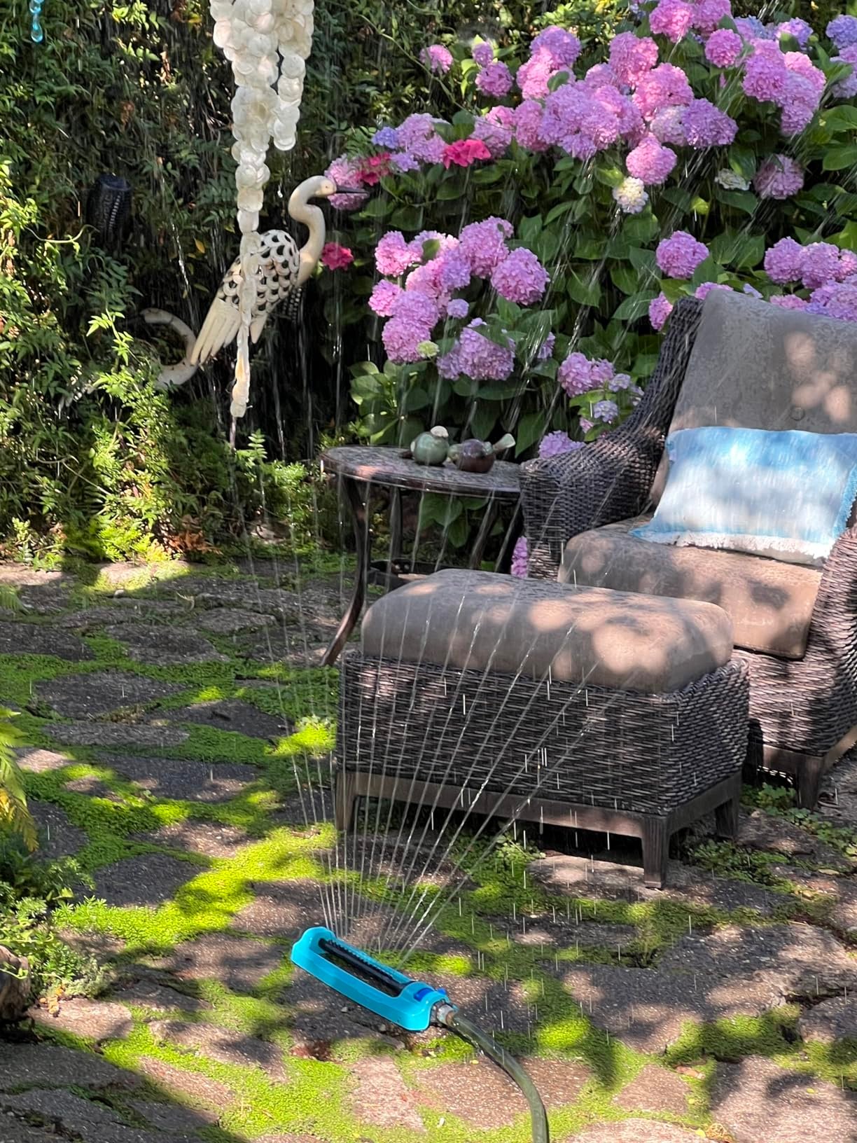 My Set-Up and Experience with Aqua Joe SJI-OMS16 Oscillating Sprinkler