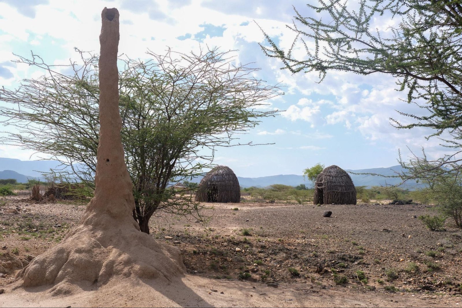 A dry rural scene with stick houses and a large ant hill