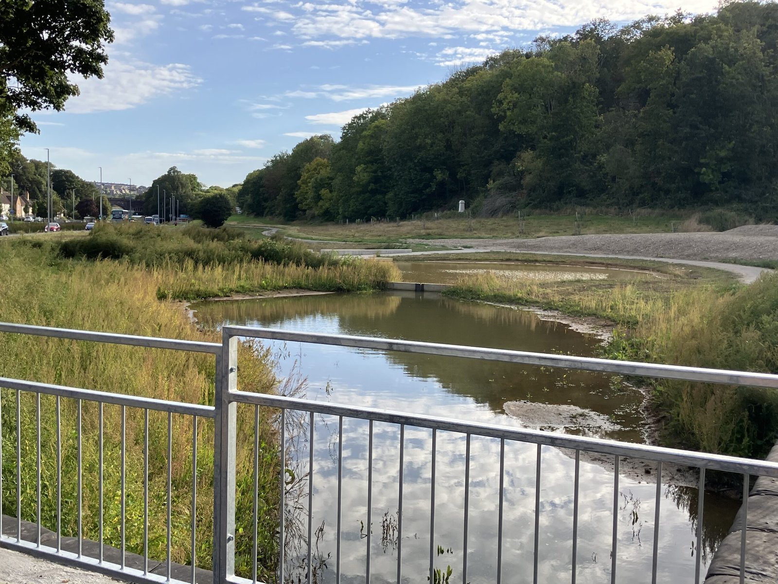 landscape of ponds, wetlands, reeds, forests with pedestrian guardrail visible in the foreground