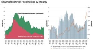 carbon credit market
