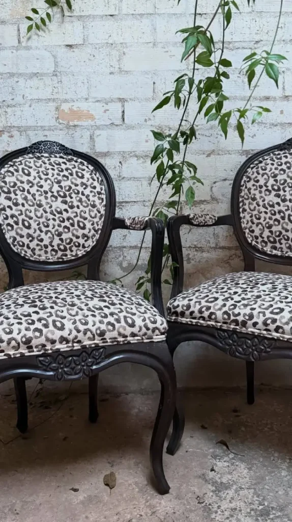 Cheetah Furniture Accents