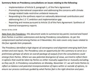 Summary Note on COP30 Presidency consultations