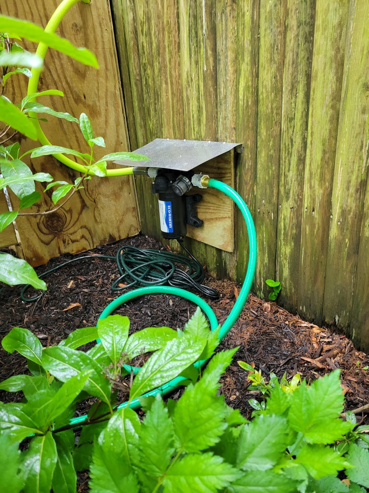 My Experience with ECO WORTHY 110V AC Diaphragm Pump