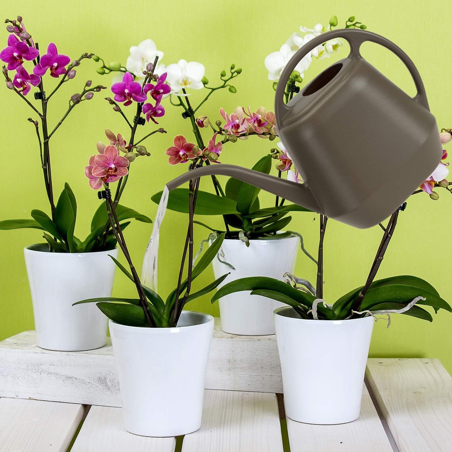 My Experience with Fasmov Watering Can