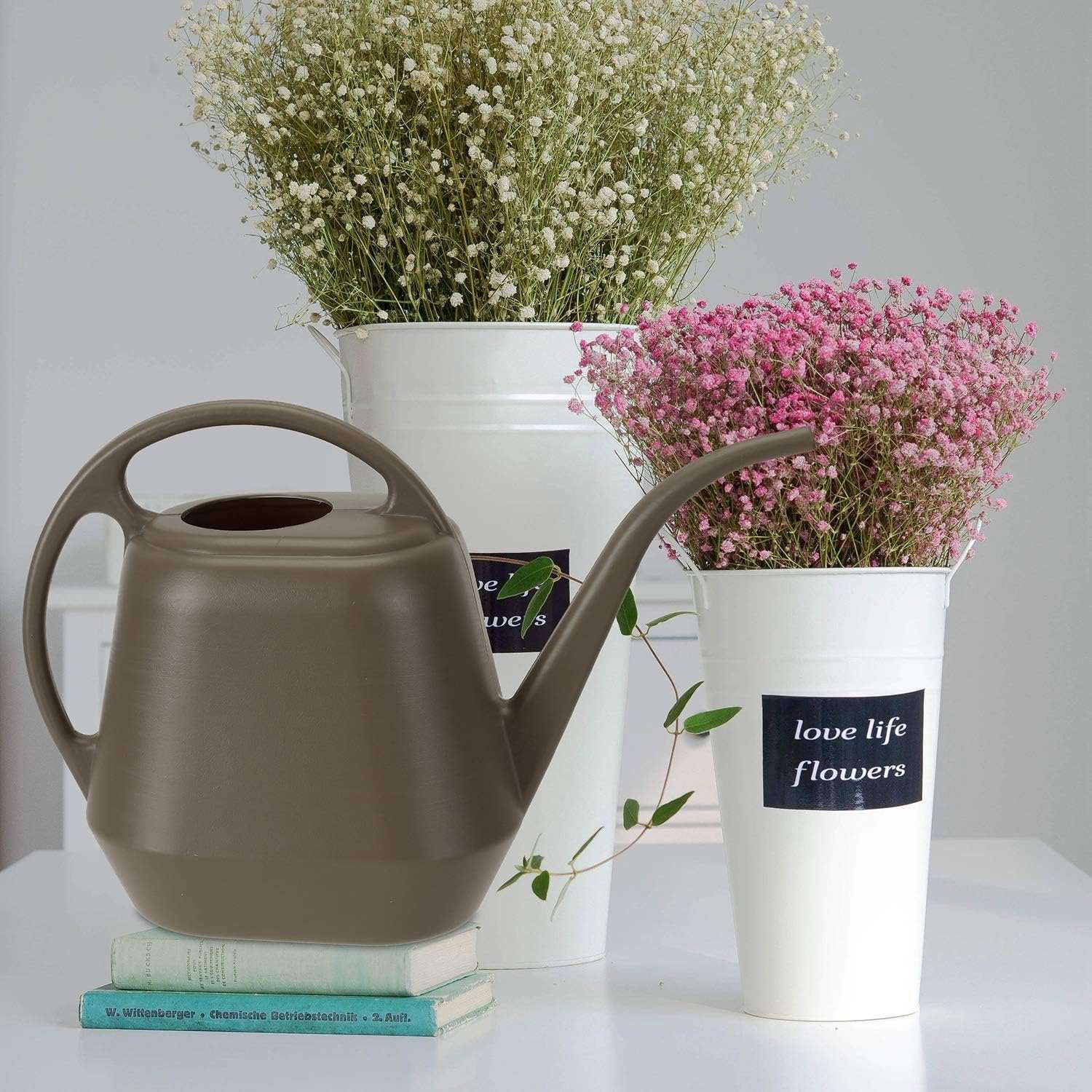 What Is Fasmov 1 Gallon Deep Gray Plastic Watering Can