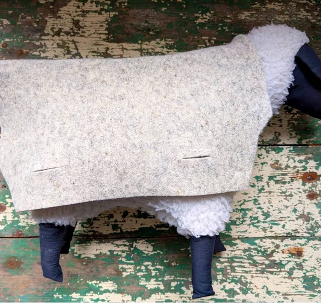 Felting goes full circle with this lamb coat. Photo: WoolGrown