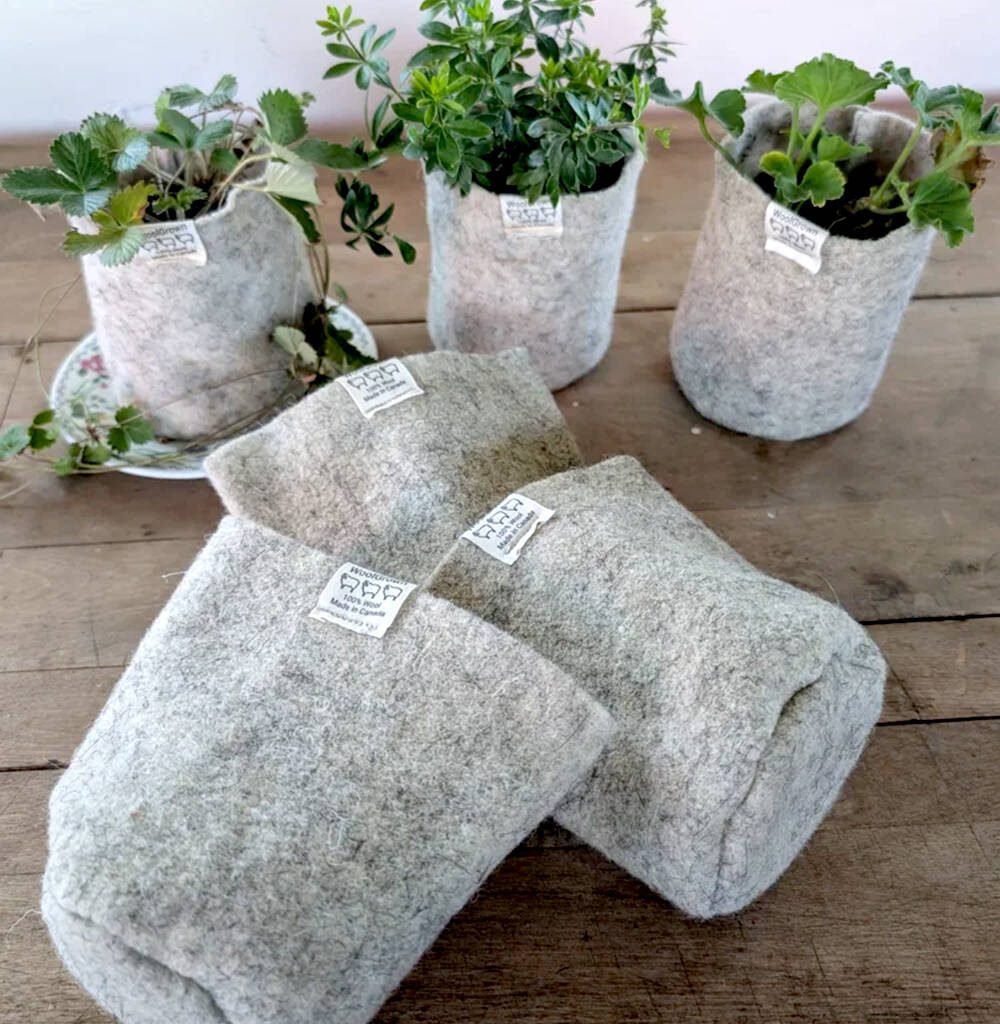 WoolGrown's felted wool pots are perfect for transplanting. Photo: WoolGrown