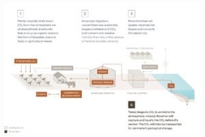 Reverion CARBON REMOVAL Biogas 
