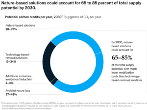 nature based solutions