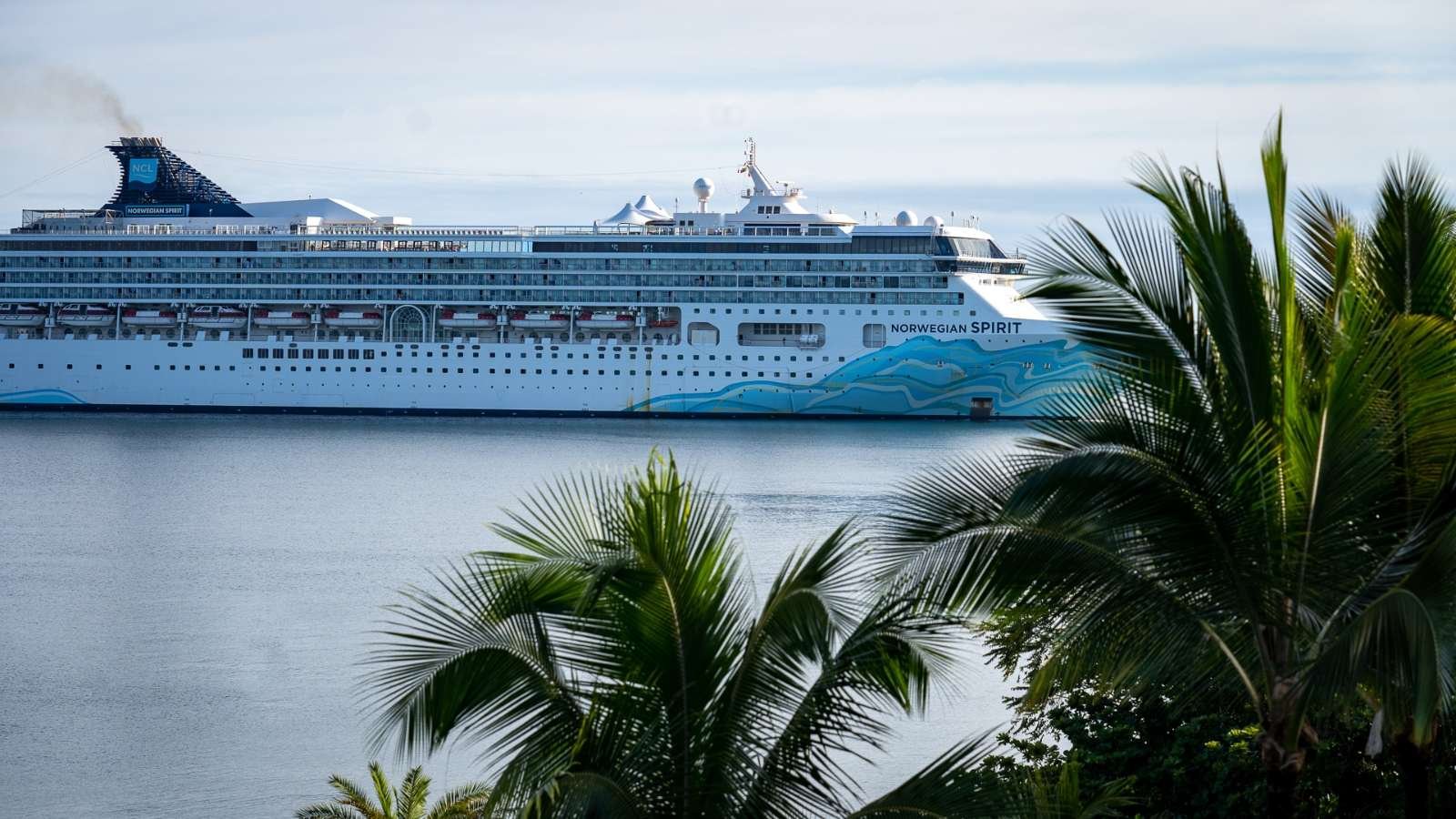 A giant cruise ship is seen sitting in the water through palm fronds