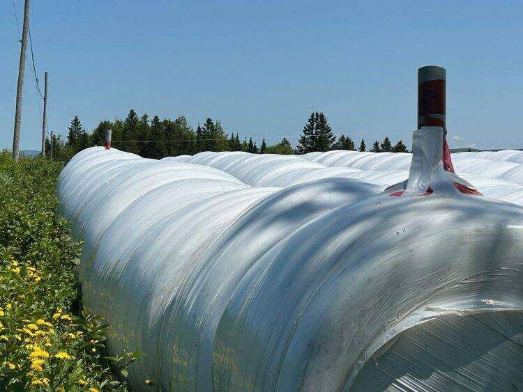 The fishing line on the silage bag is attached to a tube at each end of the row. 