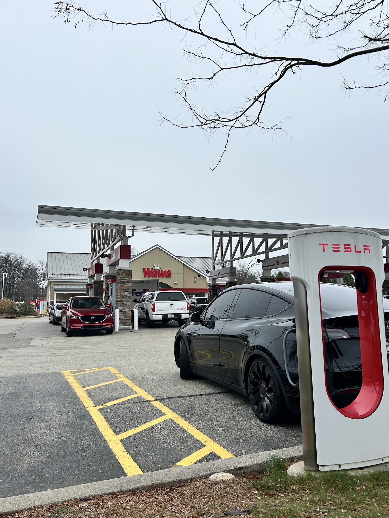 A black eV is parked at a tesla charging station at a Wawa in North Wales, PA