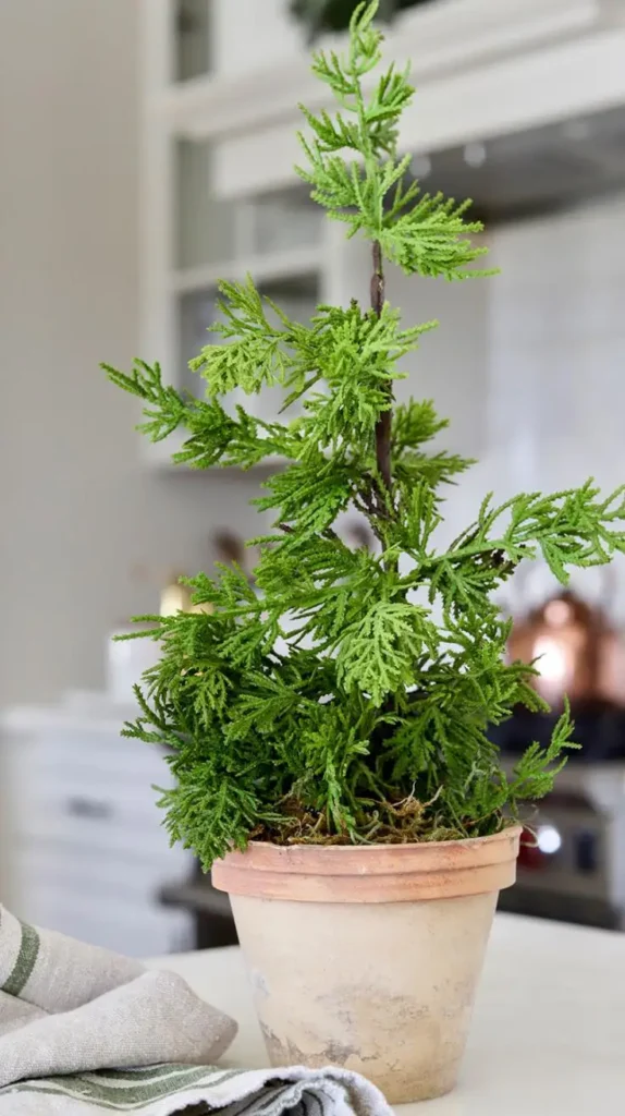 Kitchen Christmas Decorations Kitchen Christmas Decorations