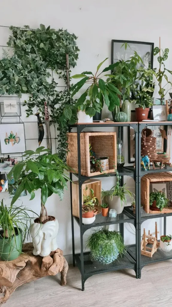 Living Room Upgrades Indoor Plants