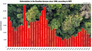 amazon deforestation trend