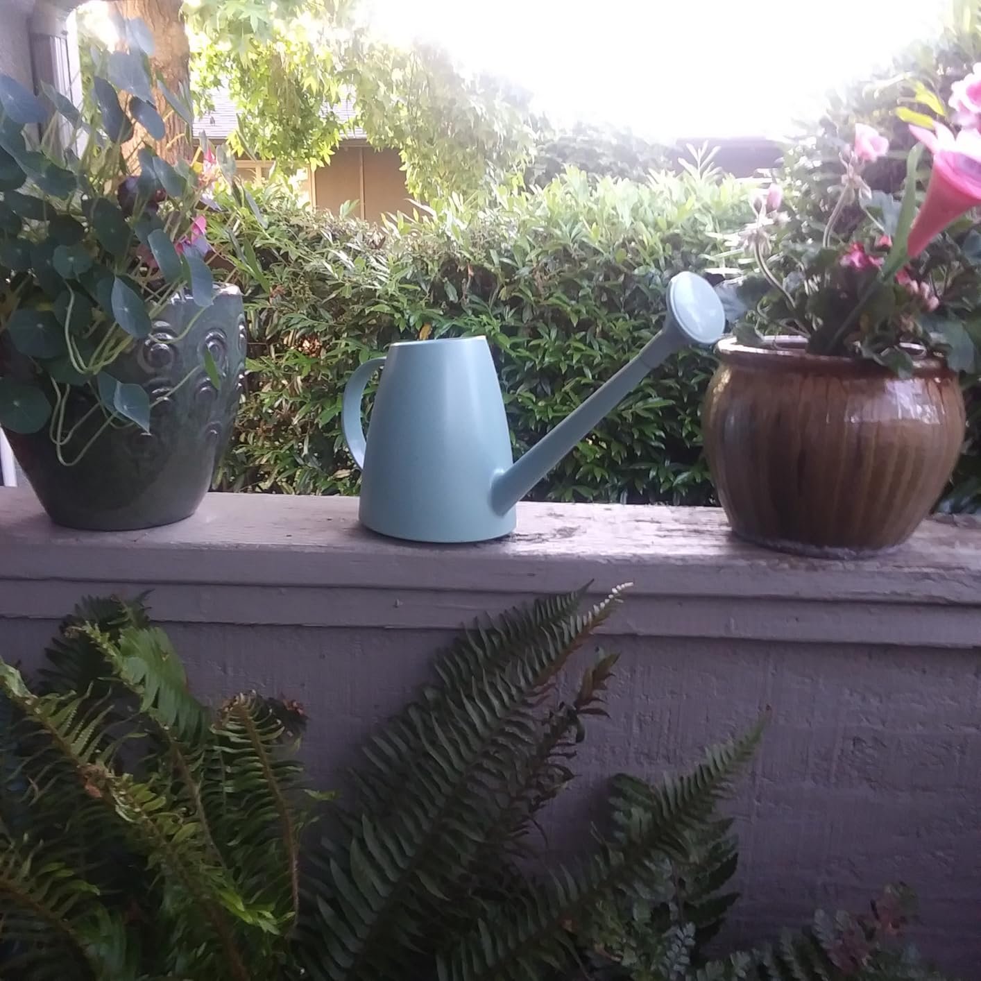 My Experience with Qilebi Small Watering Can 