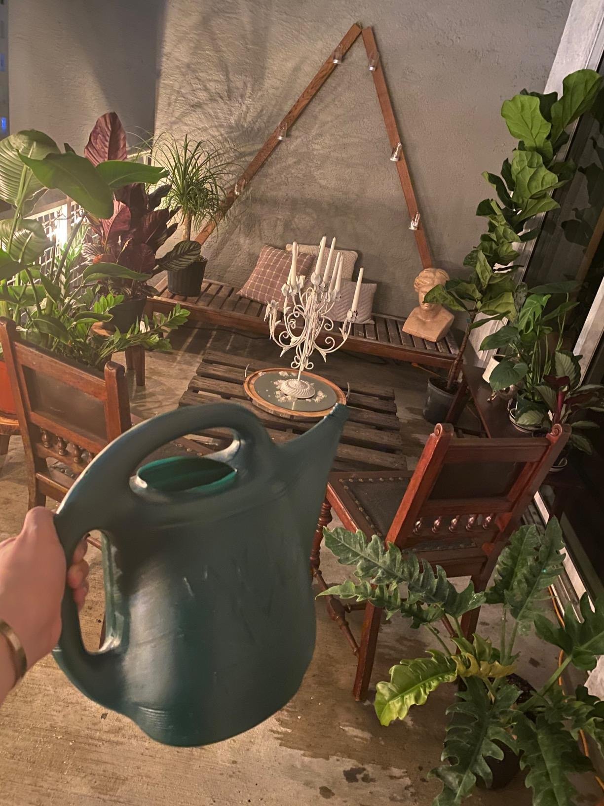 My Experience with Root & Vessel Watering Can
