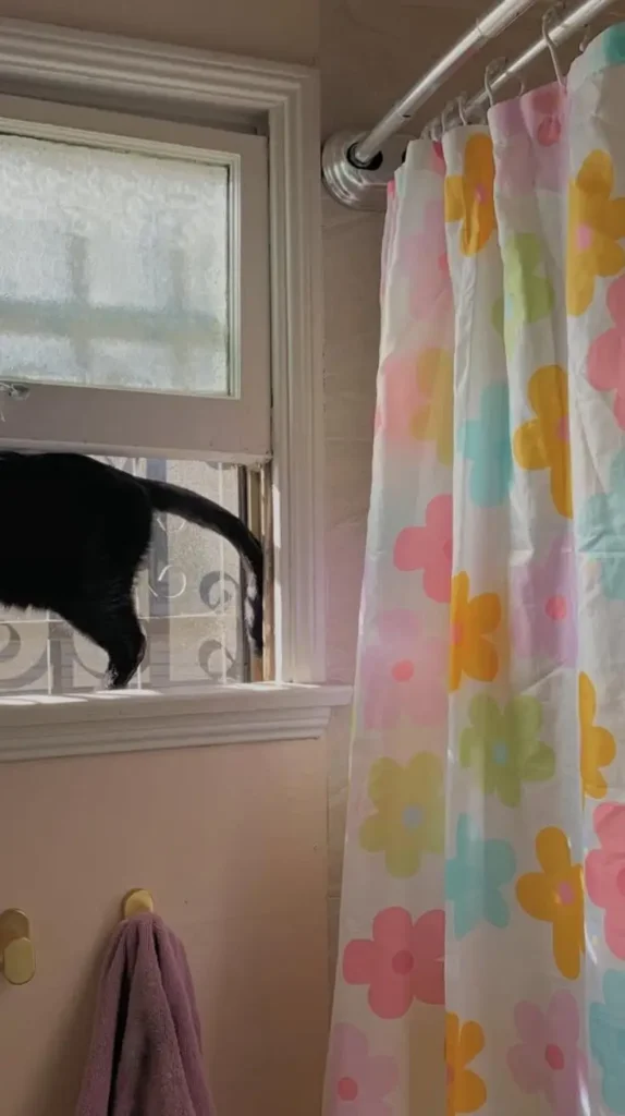 Pastel Shower Curtains