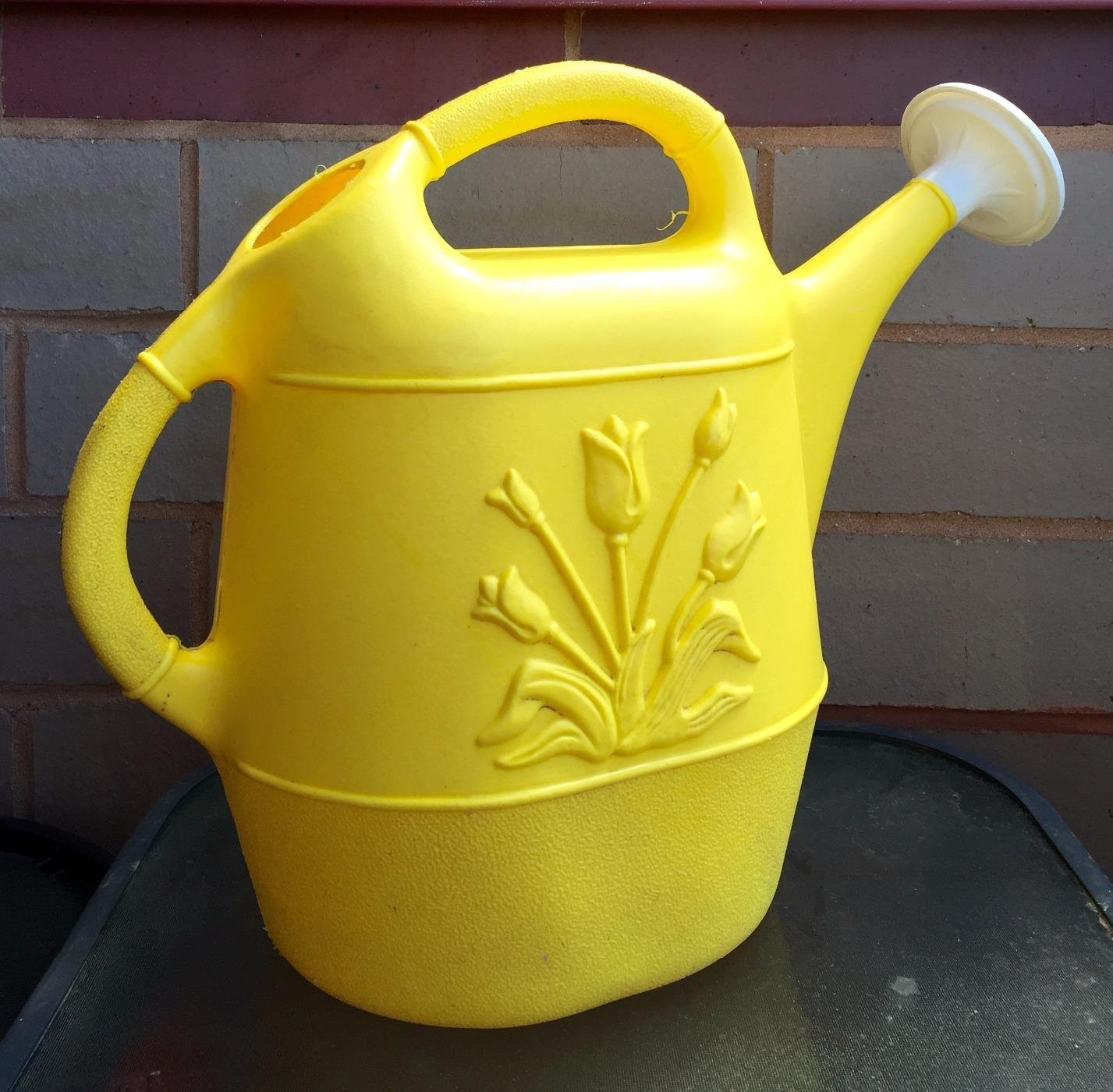 My Experience with Union Products Plastic Watering Can