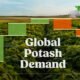 The preview image for a bar chart, sponsored by BHP, showing the causes of the increasing global demand for potash.