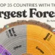 This cropped graphic lists the top 35 countries with the largest forests, sorted by region, using data from the FAO, released October 2025.