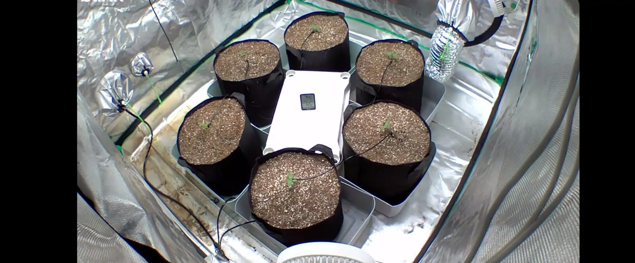 My Setup and My Experience