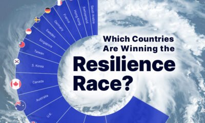 Part of a donut chart showing country flags alongside the text "Which Countries Are Winning the resilience Race?"